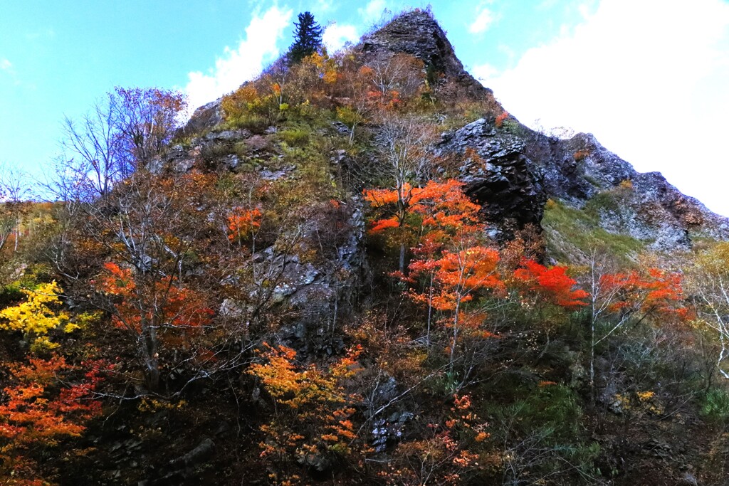渓谷