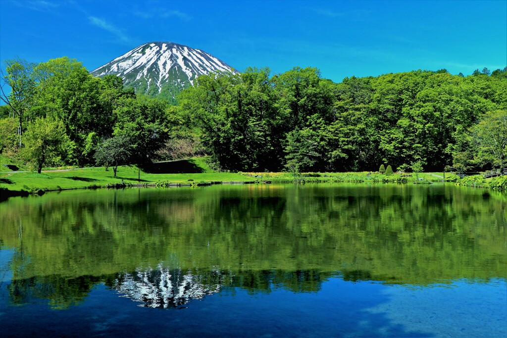 羊蹄山映り込み