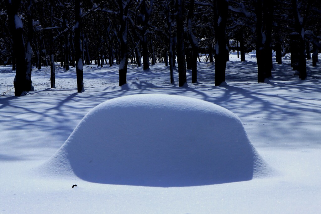 雪大福