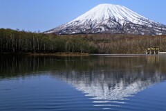 羊蹄山映り込み