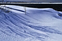 石狩川河口景色