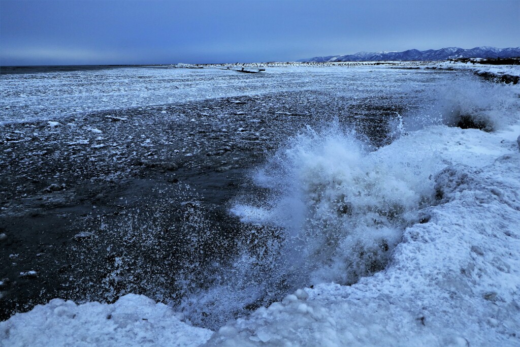 冬の石狩川河口