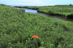 孤独(石狩知津狩川）