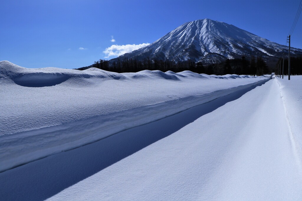 羊蹄山に続く路