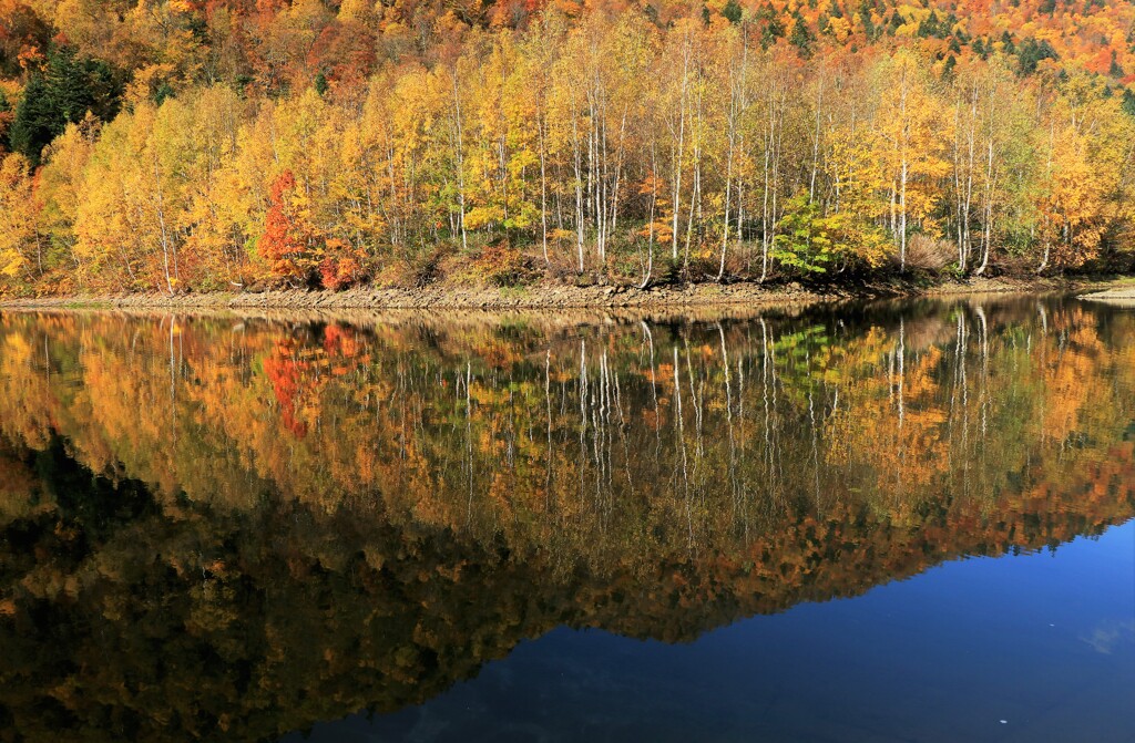 札幌湖(映り込み）