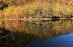 札幌湖(映り込み）