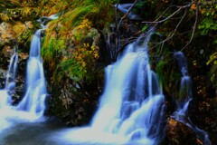 あ~秋ですね♪ あ~秋ですね♪