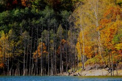 あ~秋ですね♪ あ~秋ですね♪