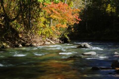 定山渓白井川渓流