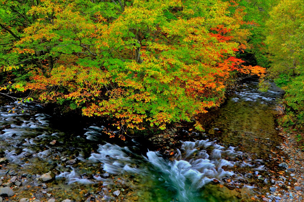 あ~あ川の流れのように♪　