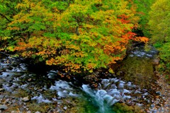 あ~あ川の流れのように♪　
