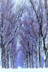 公園の冬景色Ⅰ