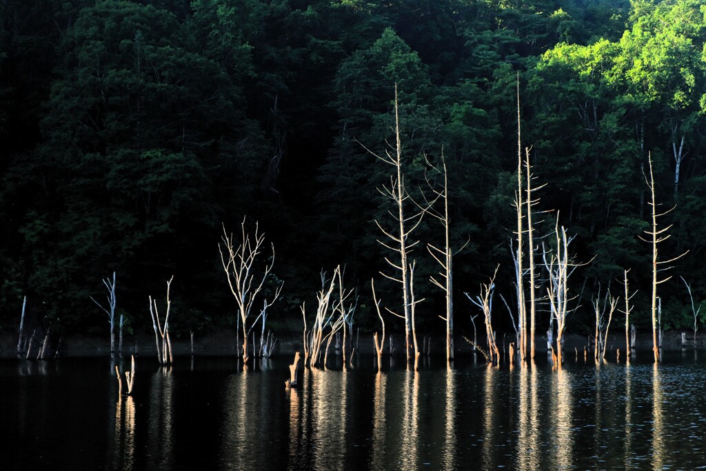 赤井川村落合ダム湖