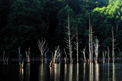 赤井川村落合ダム湖