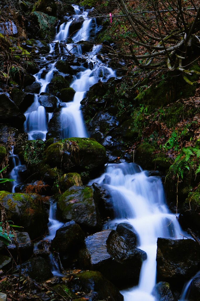 晩秋の小滝