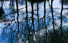 揺らぐ夢うつつ 揺らぐ夢うつつ