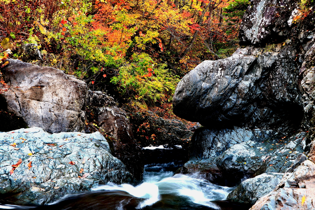 団子鼻の岩が水を飲みこむ