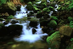 定山渓白井川