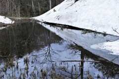 雪解けの雪映