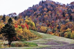 手稲山の紅葉Ⅰ