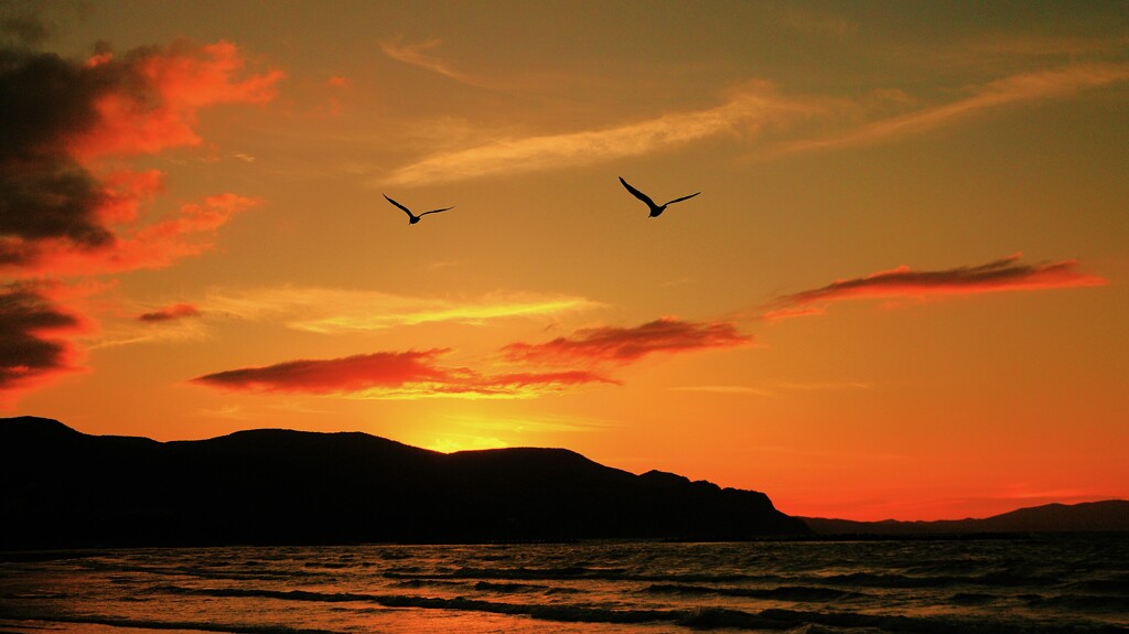 日暮れになると鳥は森へ～（蔵出再投稿）