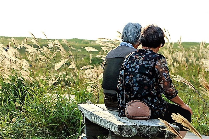 秋がやってくる