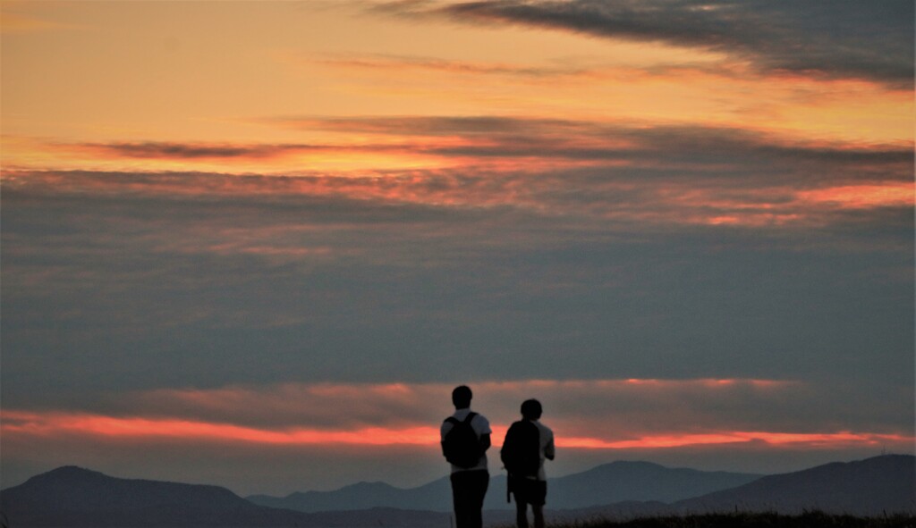 日暮、帰ろうよ～