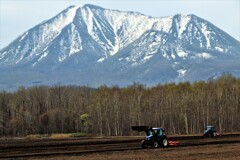 農作業（後方然別岳）
