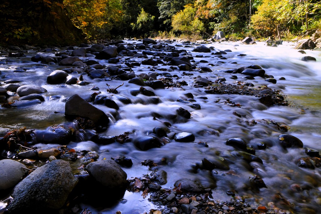 秋、川の流れのように♪