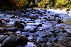 秋、川の流れのように♪
