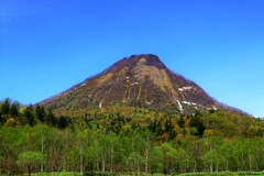 5月の浜益黄金山