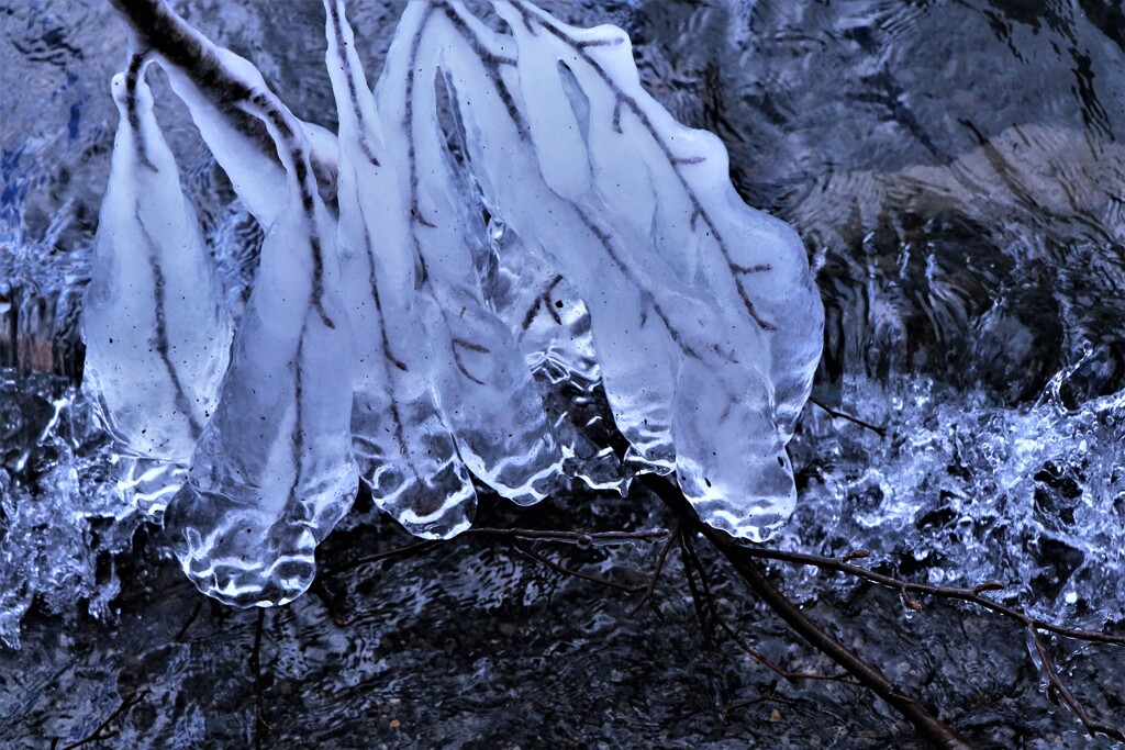 氷の世界Ⅲ(支笏湖湖畔）