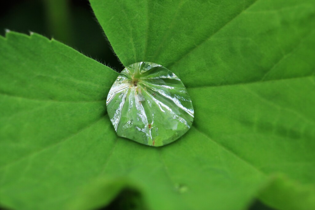 雨粒宝石