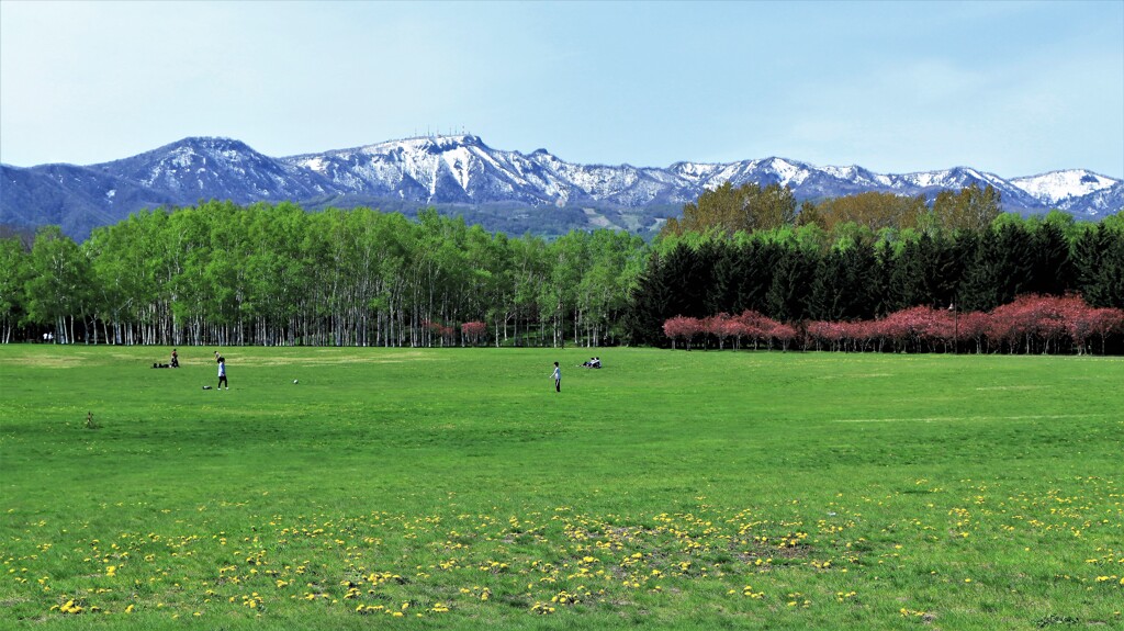 新緑の季節に～