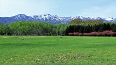 新緑の季節に～