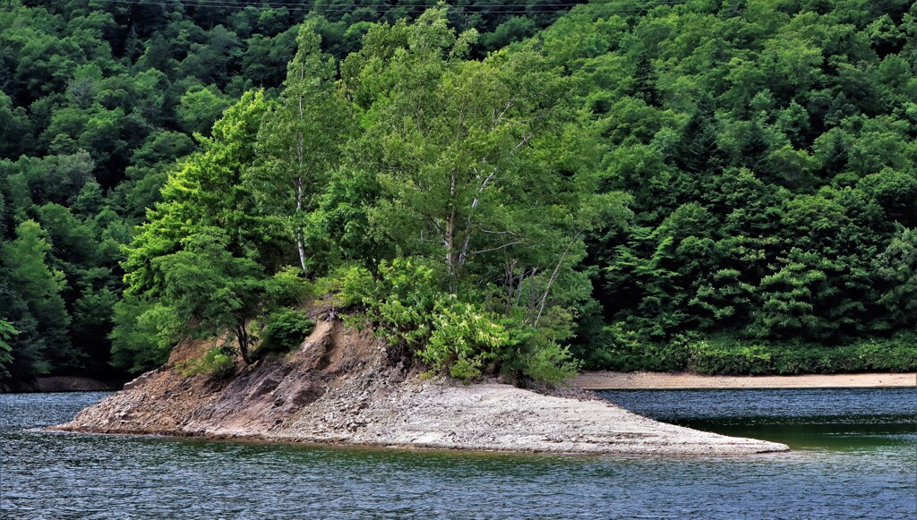 コジマ(札幌湖）