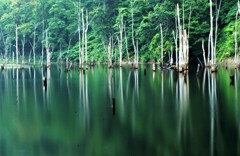 赤井川村落合ダム湖