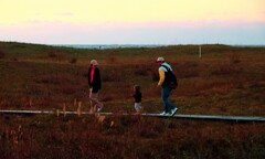 晩秋の親子 晩秋の親子