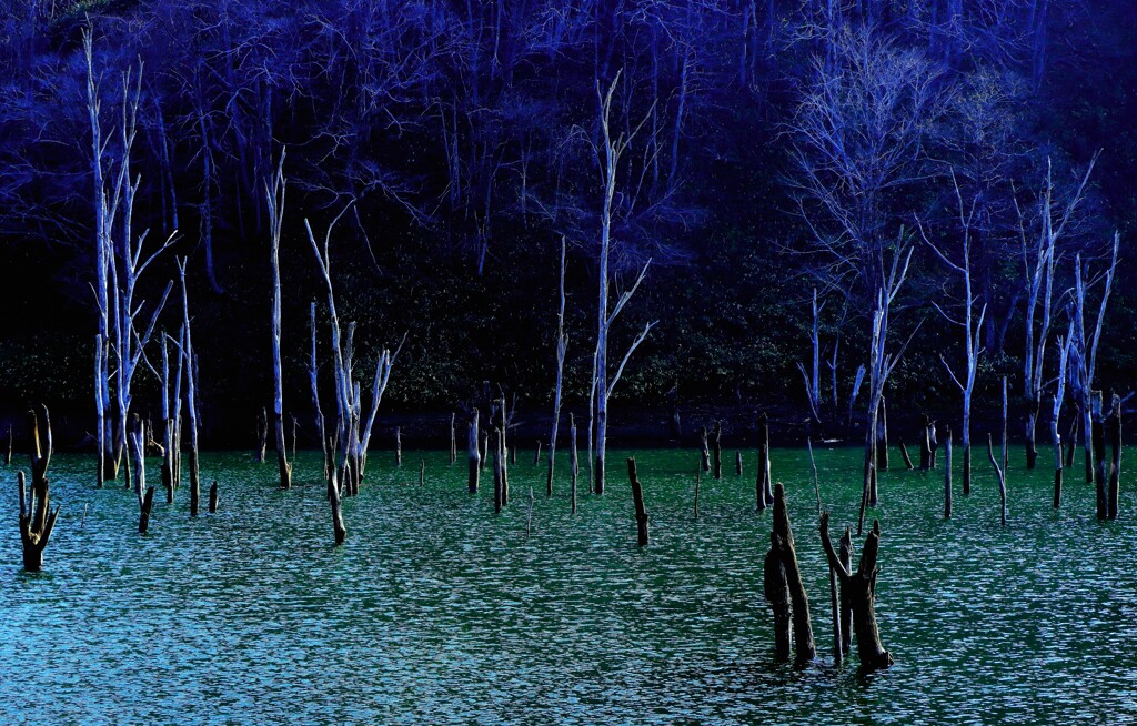 晩秋、落合ダム