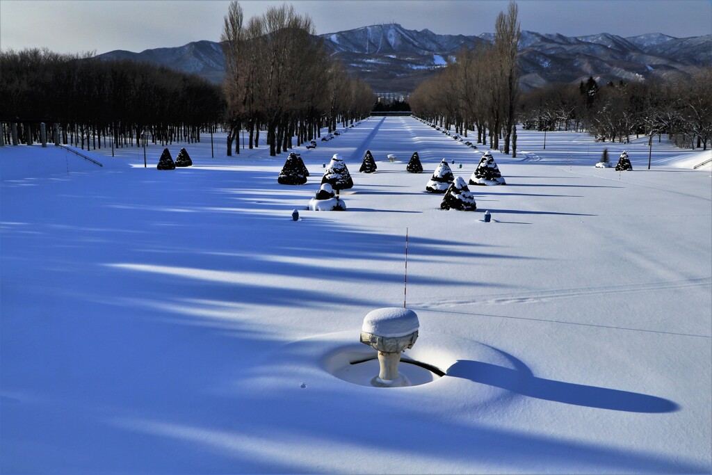 前田森林公園