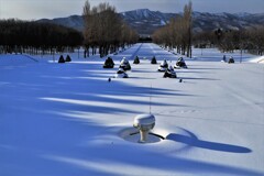 前田森林公園