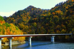 秋の札幌湖
