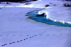 石狩旧知津狩川Ⅲ