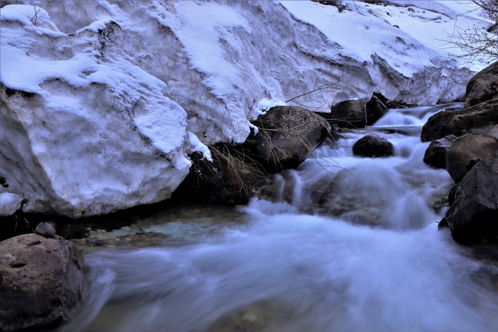 雪解け