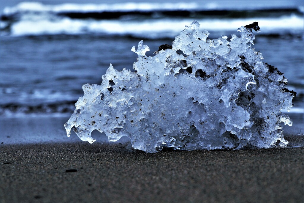砂浜の氷