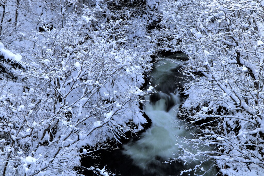 今年は雪が遅い(蔵出し）