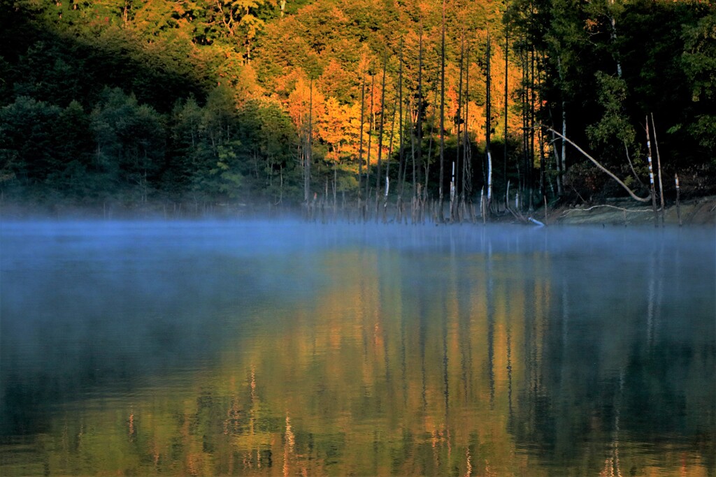 赤井川村落合ダムⅠ