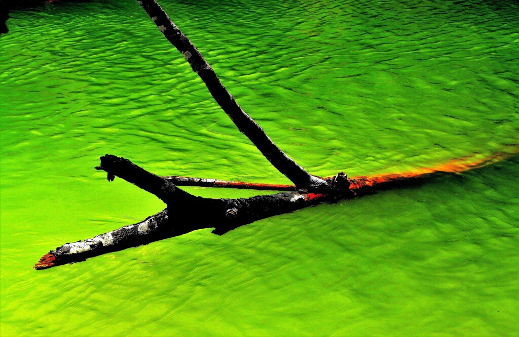 川の流れに身をまかせ♪