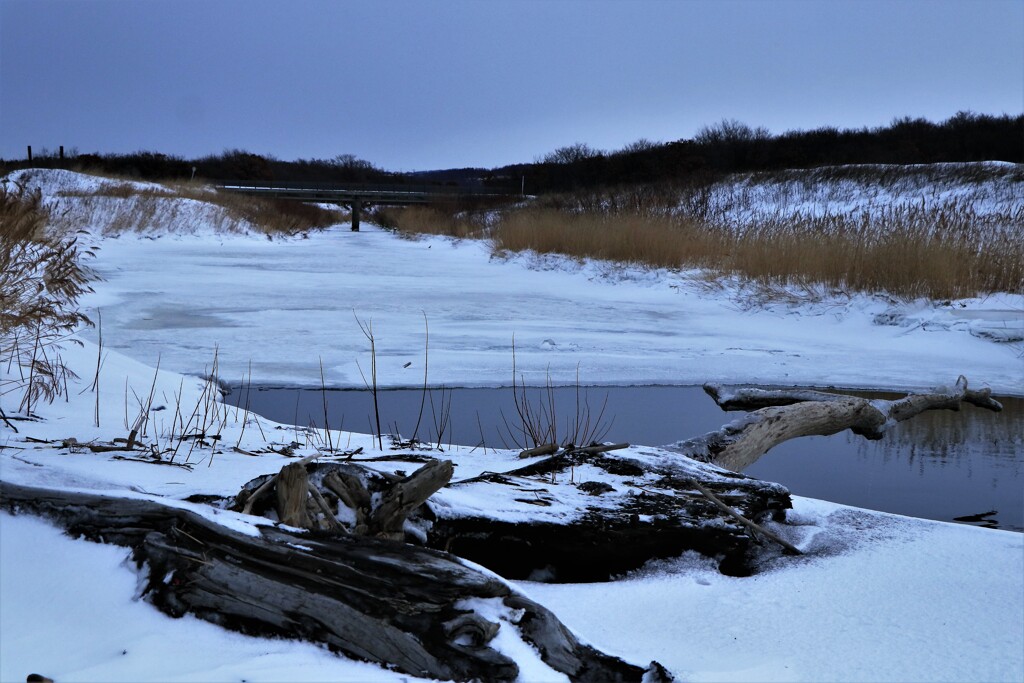 凍てつく石狩知狩川