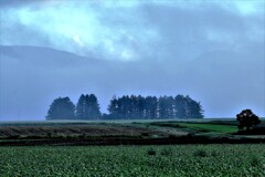 低い雲間Ⅱ 低い雲間Ⅱ